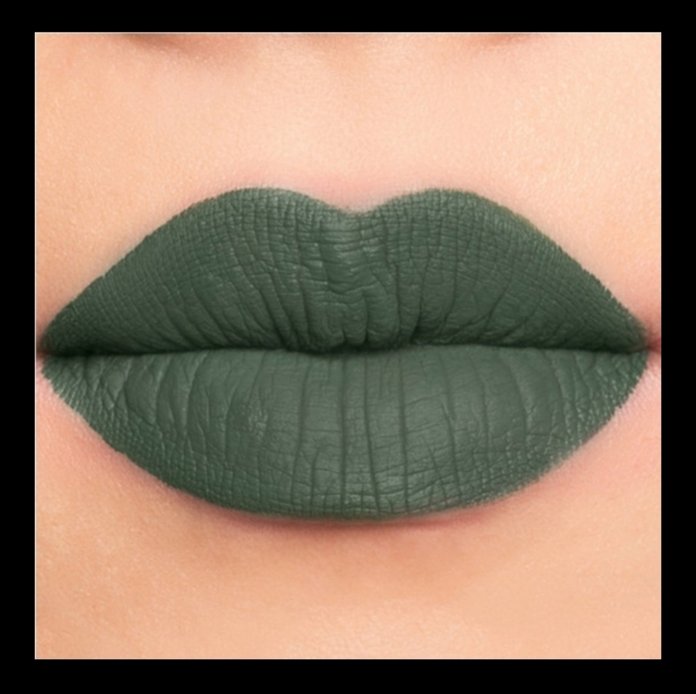 NWT Jeffree Star Velour Liquid Lip